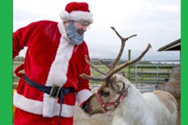 Christmas in Buckinghamshire at Hogshaw Farm