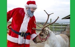 Christmas in Buckinghamshire at Hogshaw Farm