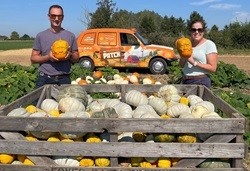 Pumpkin Patch Essex