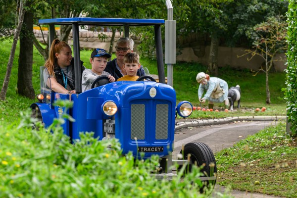 Kids Days Out Retford